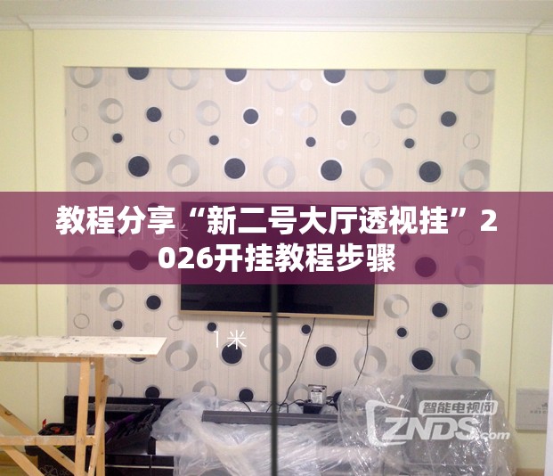 教程分享“新二号大厅透视挂”2026开挂教程步骤