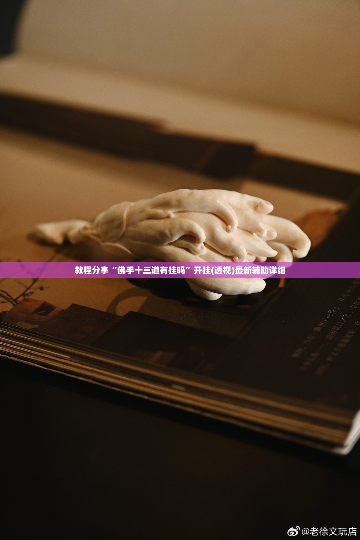 教程分享“佛手十三道有挂吗”开挂(透视)最新辅助详细