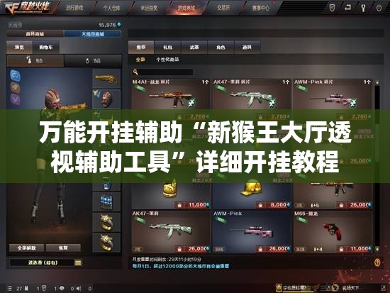 万能开挂辅助“新猴王大厅透视辅助工具”详细开挂教程