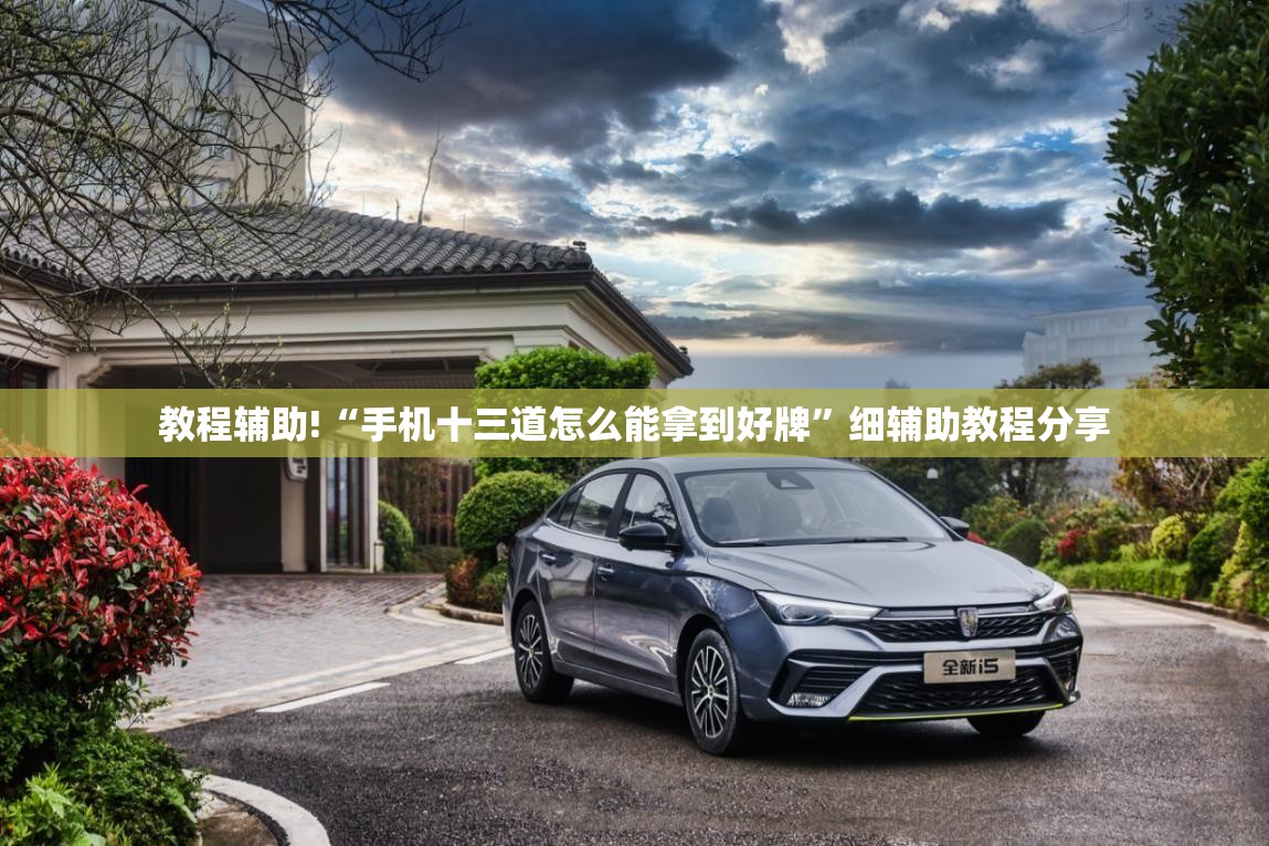 教程辅助!“手机十三道怎么能拿到好牌	”细辅助教程分享