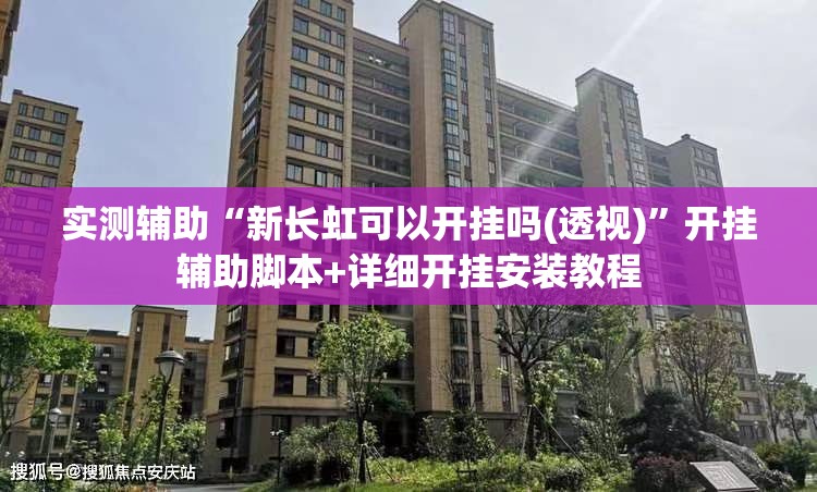 实测辅助“新长虹可以开挂吗(透视)”开挂辅助脚本+详细开挂安装教程