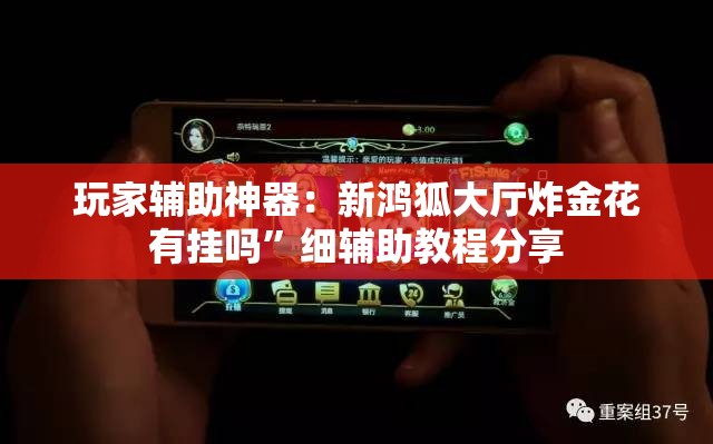 玩家辅助神器：新鸿狐大厅炸金花有挂吗”细辅助教程分享