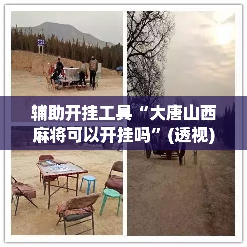 辅助开挂工具“大唐山西麻将可以开挂吗	”(透视)其实确实有挂