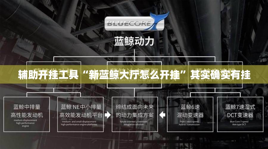 辅助开挂工具“新蓝鲸大厅怎么开挂	”其实确实有挂