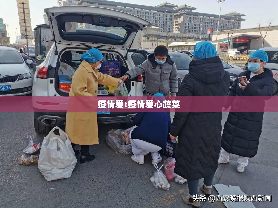 疫情爱:疫情爱心蔬菜