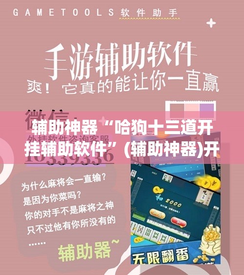 辅助神器“哈狗十三道开挂辅助软件”(辅助神器)开挂详细教程