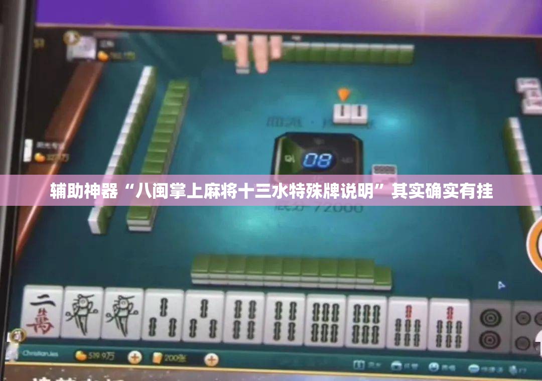 辅助神器“八闽掌上麻将十三水特殊牌说明	”其实确实有挂
