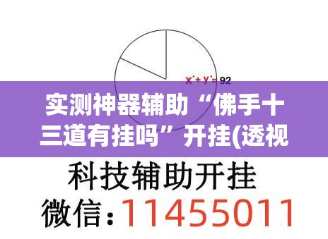 实测神器辅助“佛手十三道有挂吗”开挂(透视)辅助神器