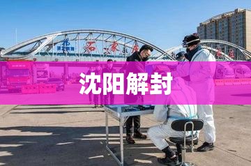 沈阳解封/沈阳封城