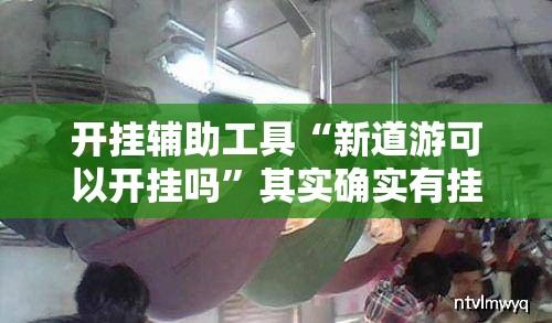 开挂辅助工具“新道游可以开挂吗”其实确实有挂