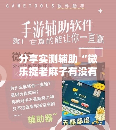分享实测辅助“微乐捉老麻子有没有挂(透视)	”开挂辅助脚本+详细开挂安装教程