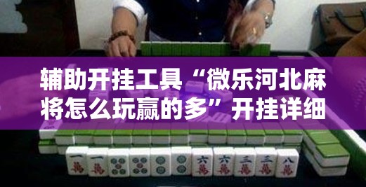 辅助开挂工具“微乐河北麻将怎么玩赢的多”开挂详细教程