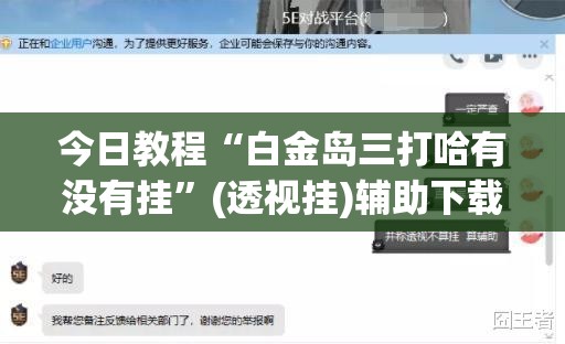 今日教程“白金岛三打哈有没有挂”(透视挂)辅助下载教程
