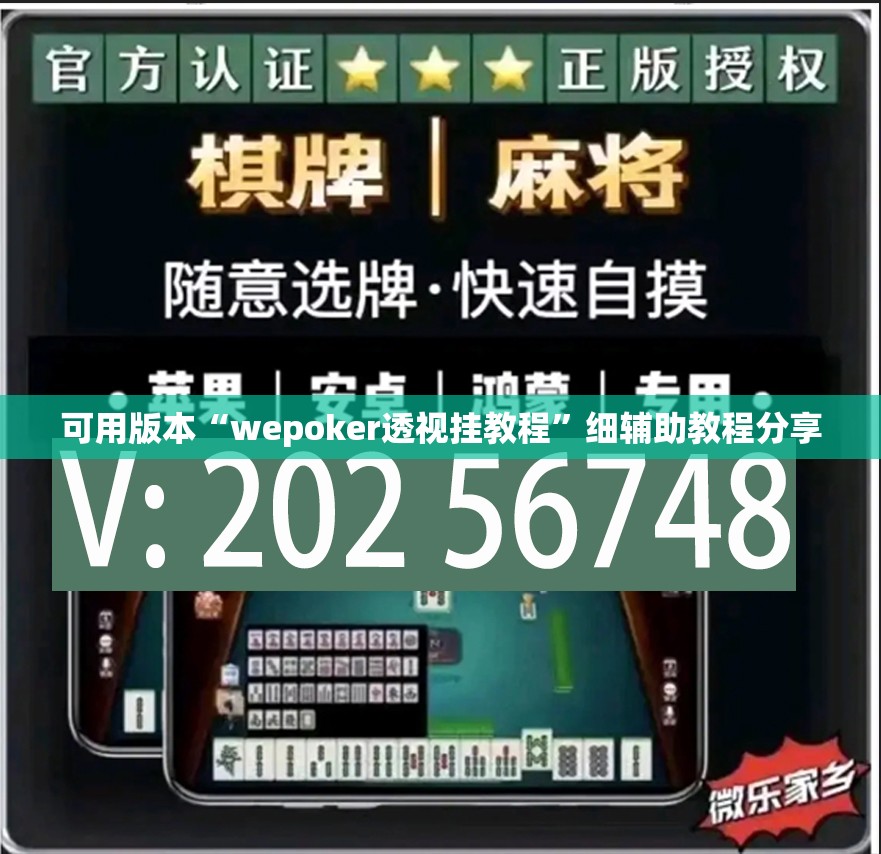 可用版本“wepoker透视挂教程	”细辅助教程分享