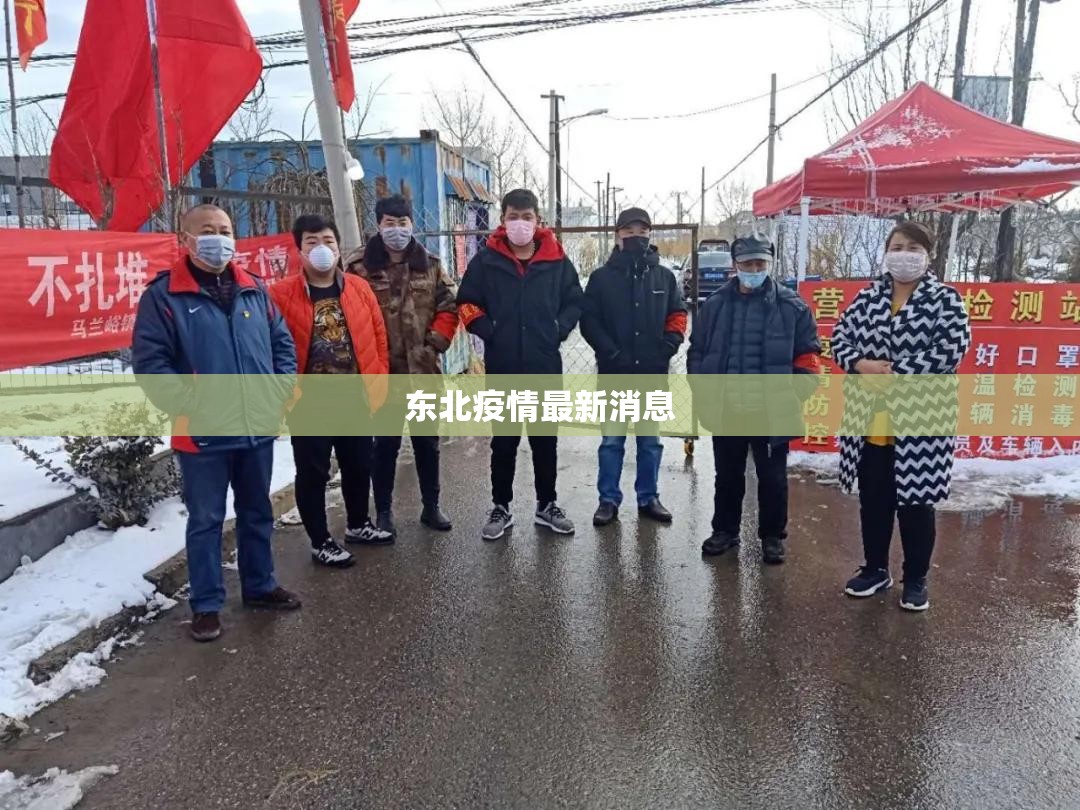 东北疫情最新消息/东北肺炎最新消息