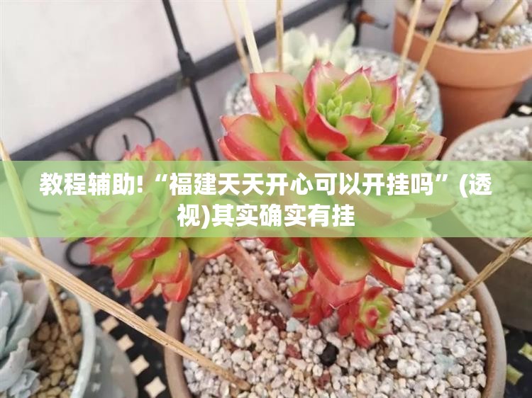 教程辅助!“福建天天开心可以开挂吗	”(透视)其实确实有挂