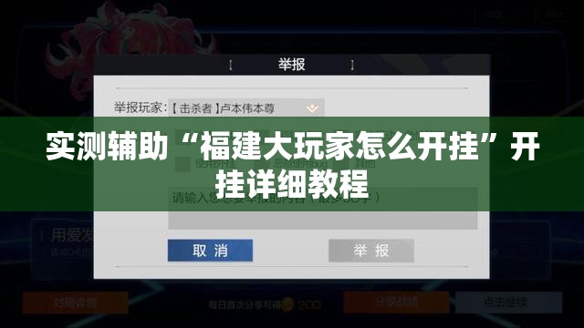 实测辅助“福建大玩家怎么开挂”开挂详细教程