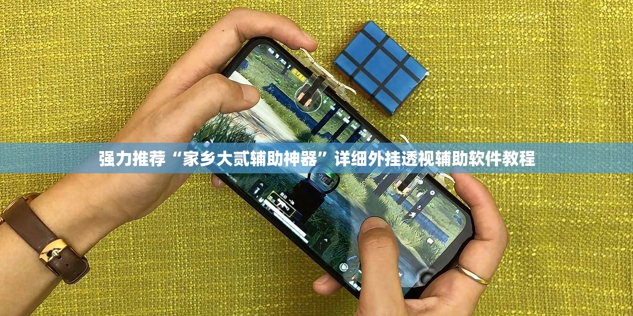 强力推荐“家乡大贰辅助神器”详细外挂透视辅助软件教程