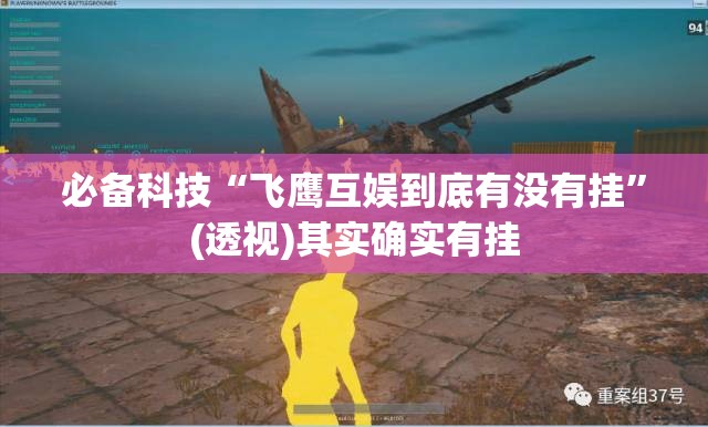 必备科技“飞鹰互娱到底有没有挂”(透视)其实确实有挂