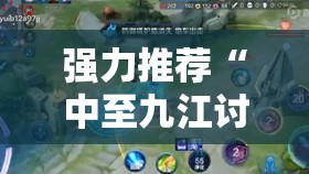 强力推荐“中至九江讨赏到底有没有挂”详细开挂教程