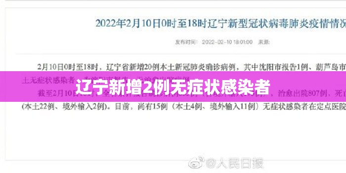 辽宁新增2例无症状感染者/辽宁新增确诊病例