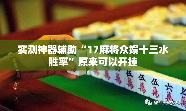 实测神器辅助“17麻将众娱十三水胜率”原来可以开挂