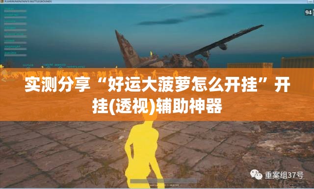 实测分享“好运大菠萝怎么开挂”开挂(透视)辅助神器