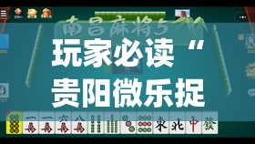 玩家必读“贵阳微乐捉鸡麻将到底有没有挂	”(免费)开挂辅助教学(最新辅助开挂教程)