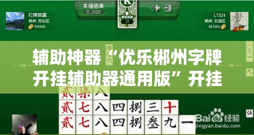 辅助神器“优乐郴州字牌开挂辅助器通用版”开挂详细教程