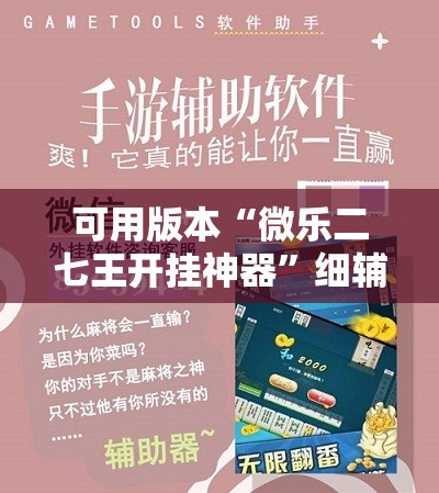可用版本“微乐二七王开挂神器”细辅助教程分享