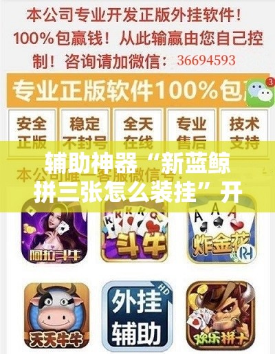 辅助神器“新蓝鲸拼三张怎么装挂”开挂详细教程