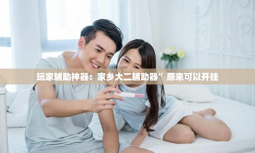 玩家辅助神器：家乡大二辅助器”原来可以开挂