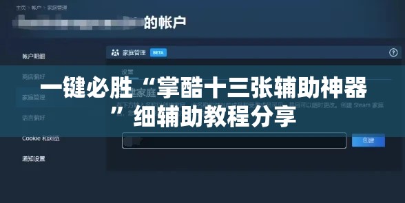 一键必胜“掌酷十三张辅助神器”细辅助教程分享