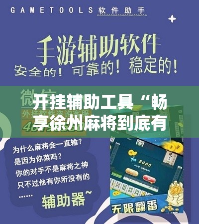 开挂辅助工具“畅享徐州麻将到底有没有挂”开挂详细教程