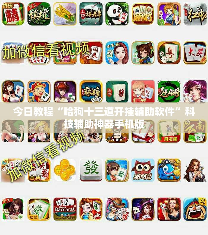 今日教程“哈狗十三道开挂辅助软件”科技辅助神器手机版