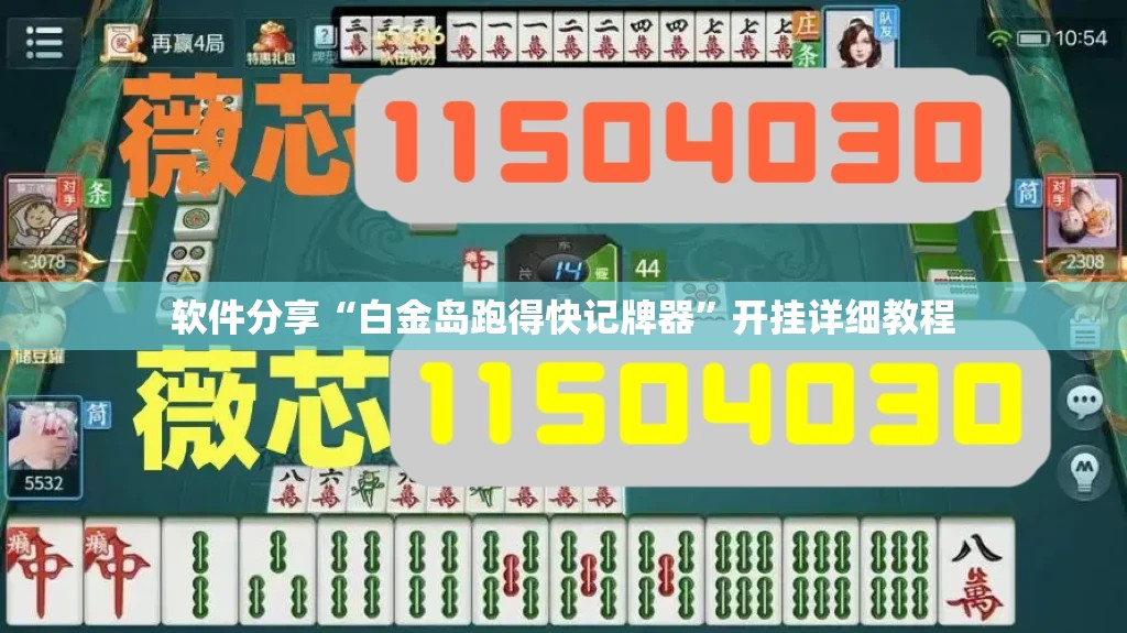 软件分享“白金岛跑得快记牌器”开挂详细教程