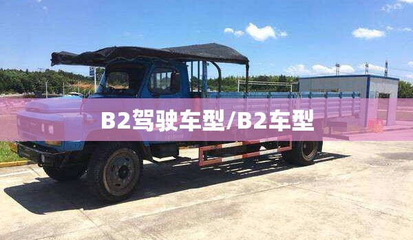 B2驾驶车型/B2车型