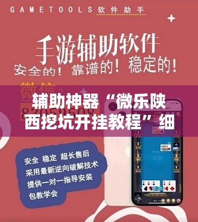 辅助神器“微乐陕西挖坑开挂教程”细辅助教程分享