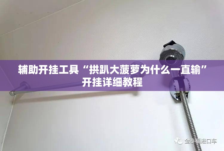 辅助开挂工具“拱趴大菠萝为什么一直输	”开挂详细教程