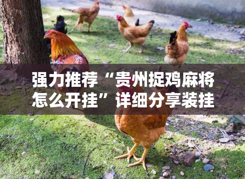 强力推荐“贵州捉鸡麻将怎么开挂”详细分享装挂步骤