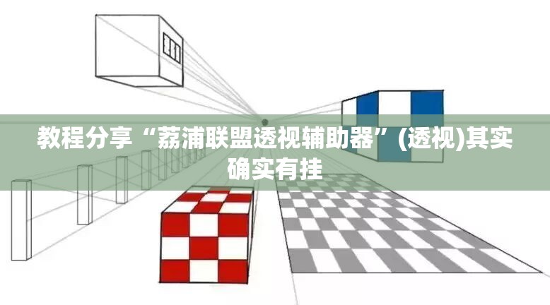 教程分享“荔浦联盟透视辅助器	”(透视)其实确实有挂