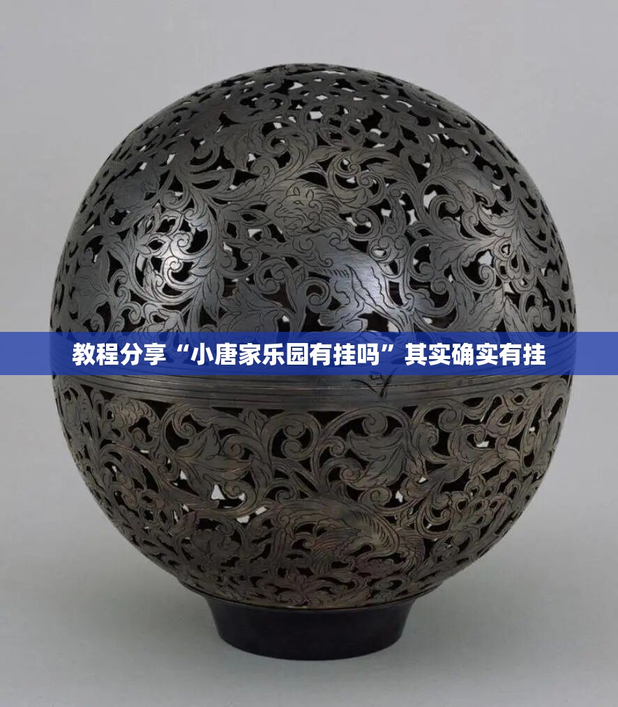 教程分享“小唐家乐园有挂吗”其实确实有挂