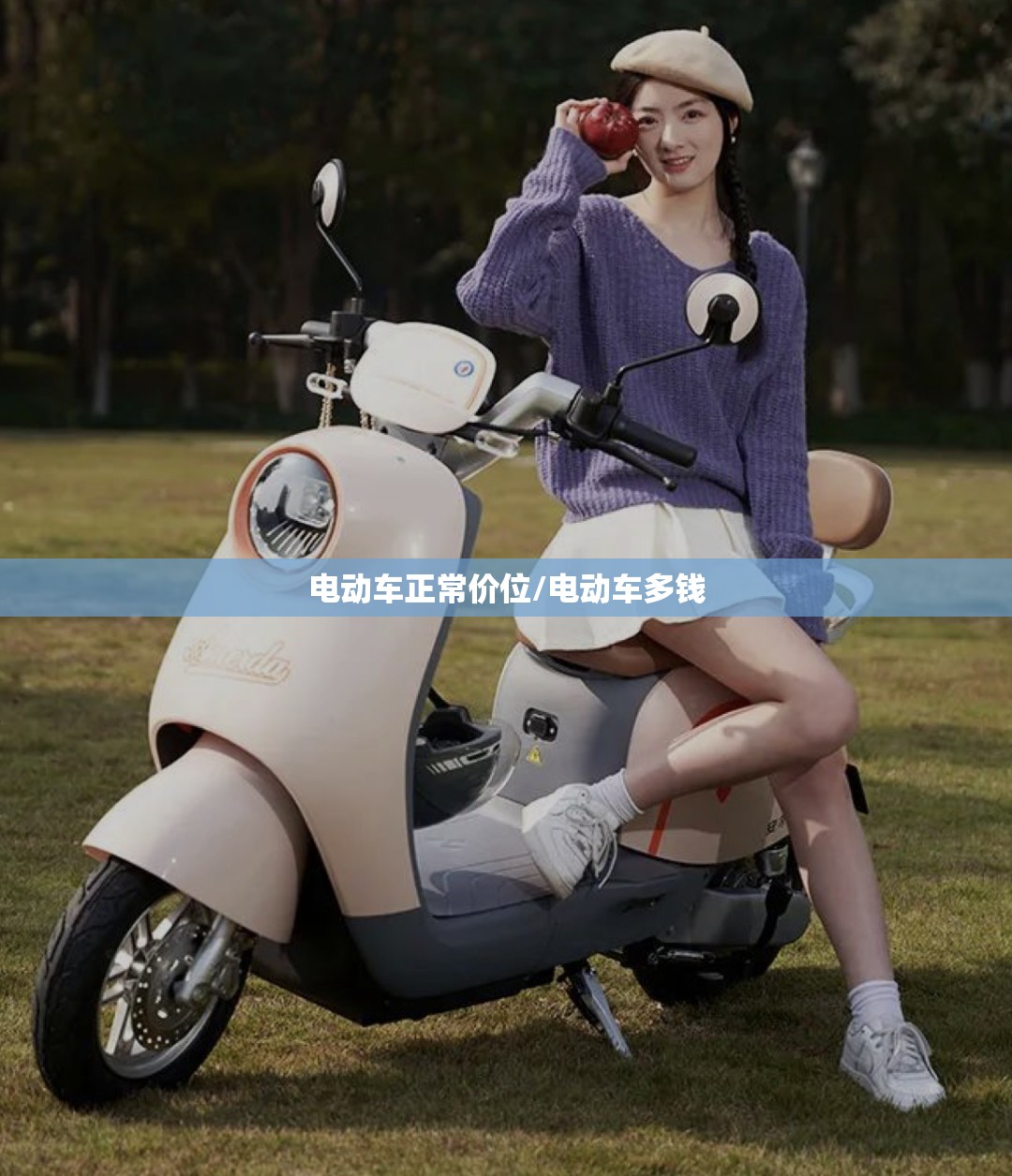 电动车正常价位/电动车多钱 电动车正常价位/电动车多钱