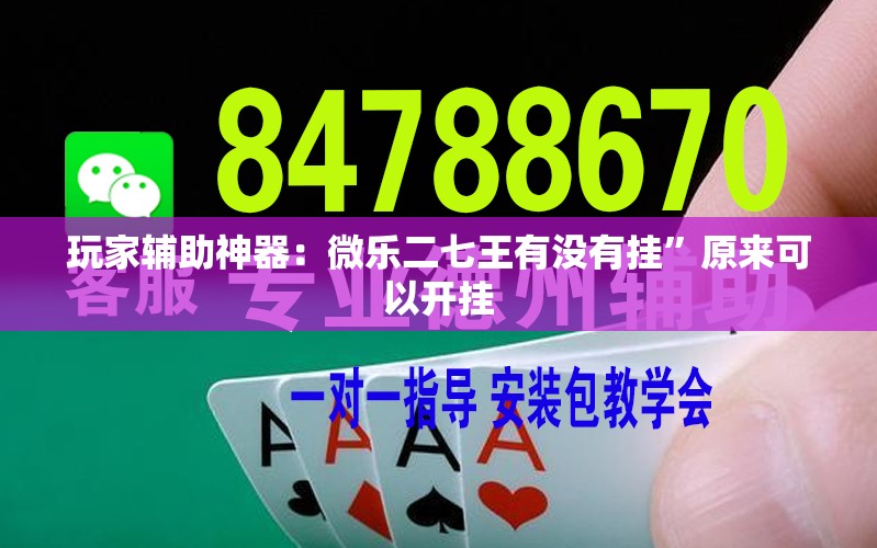 玩家辅助神器：微乐二七王有没有挂”原来可以开挂