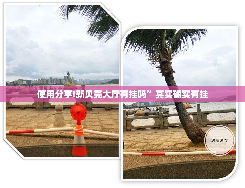 使用分享!新贝壳大厅有挂吗”其实确实有挂