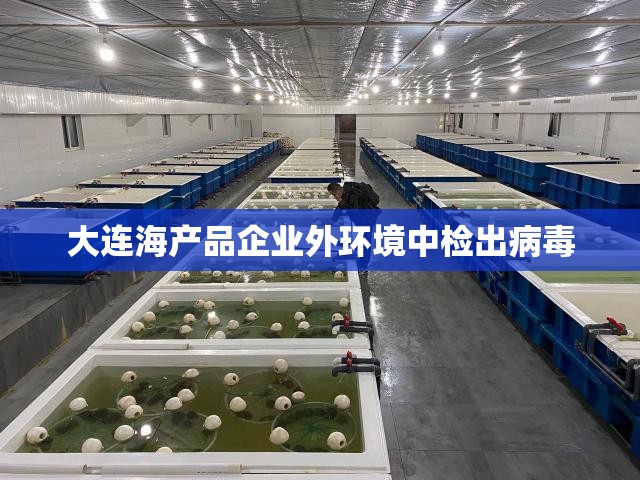 大连海产品企业外环境中检出病毒/大连的海产品被国家禁了吗
