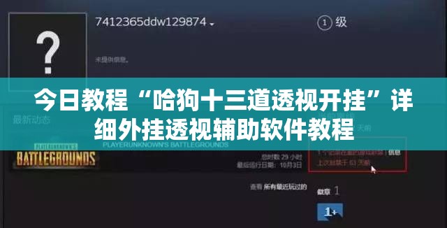 今日教程“哈狗十三道透视开挂”详细外挂透视辅助软件教程