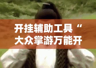 开挂辅助工具“大众掌游万能开挂神器”其实确实有挂