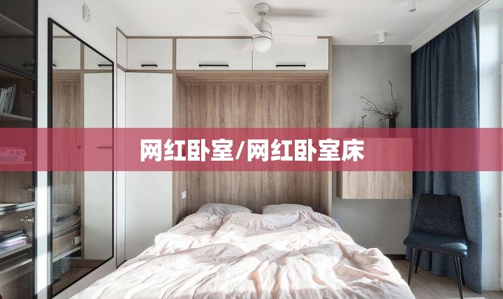 网红卧室/网红卧室床