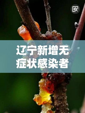 辽宁新增无症状感染者27例（一亩桃树能产多少桃胶）
